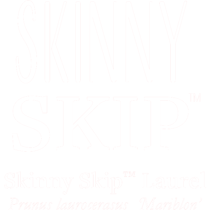 Skinny Skip Logo